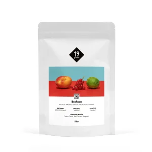 Bochesa - Ethiopia Filter